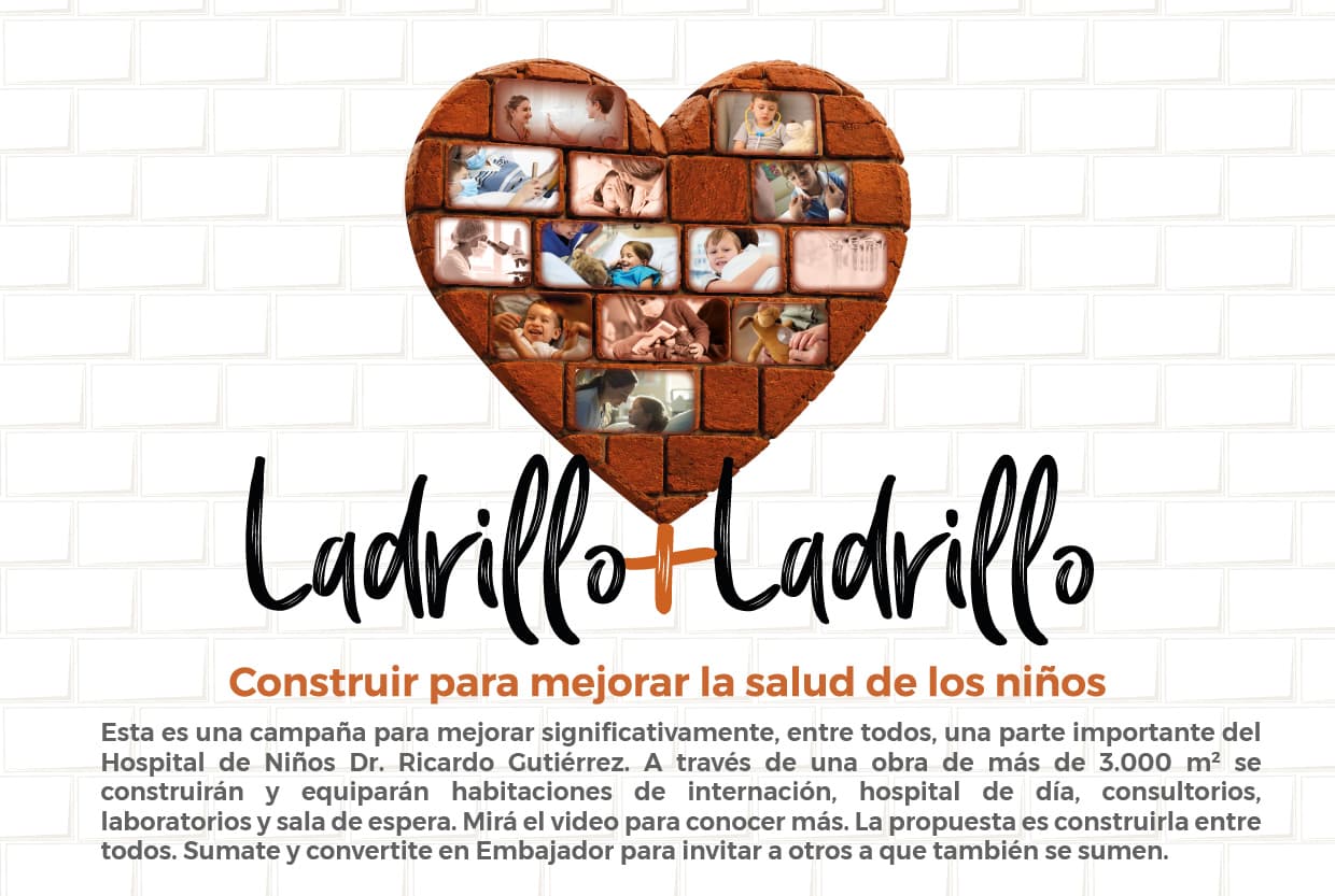 Instructivo Ladrillo + Ladrillo 1 - Presentación y objetivo