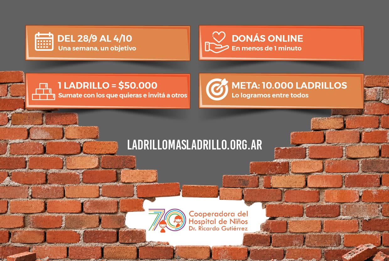 Instructivo Ladrillo + Ladrillo 2 - Cómo funciona la campaña